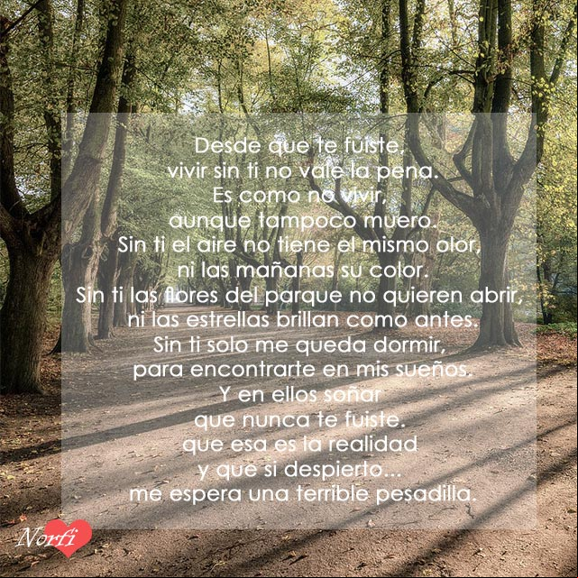 Sin ti nada es igual. Poema de amor para la distancia Sin ti nada es igual