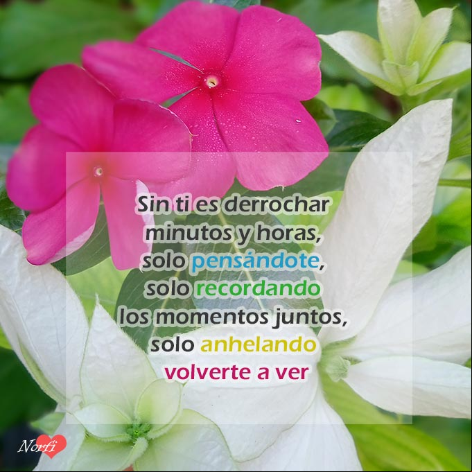 Sin ti, poema de amor Sin ti, poema de amor