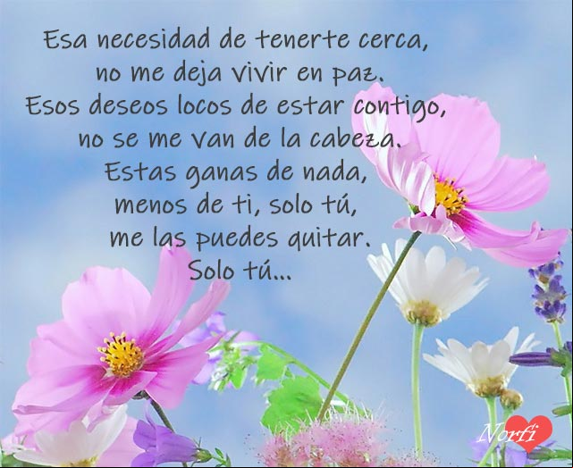 Estas ganas de nada, menos de ti, solo tú, me las puedes quitar Solo tu