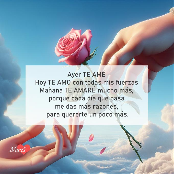 Ayer te amé, hoy te amo con todas mis fuerzas, mañana te amaré mucho más, porque cada día que pasa me das más razones, para quererte un poco más Mano entregando una rosa