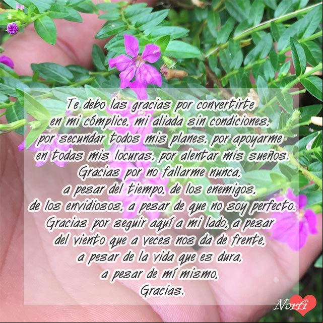 Poema gracias por estar en mi vida Te debo las gracias