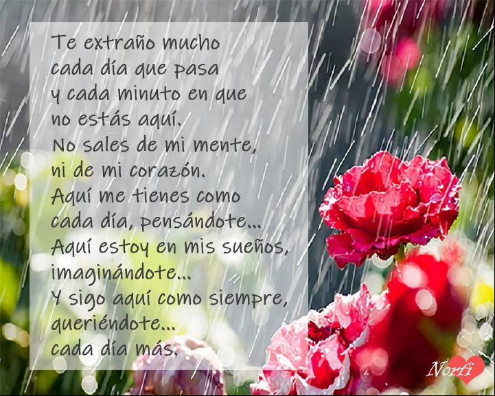 Te extraño y te echo de menos, cada día más. #PoemaDeAmor Te extraño y te echo de menos. Poema de amor