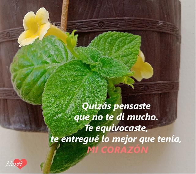 Quizás pensaste que no te di mucho. Te equivocaste, te entregué lo mejor que tenía, mi corazón Quizás pensaste que no te di mucho. Te equivocaste, te entregué lo mejor que tenía, mi corazón