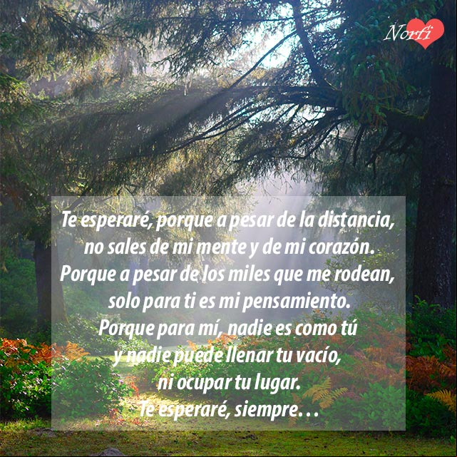 Te esperaré siempre, porque para mí, nadie es como tú y nadie puede llenar tu vacío, ni ocupar tu lugar... Te esperaré siempre