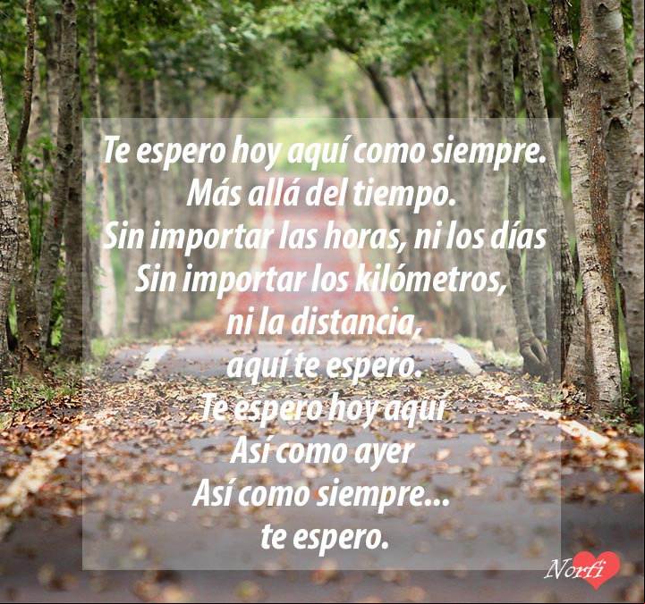 Te espero hoy aquí, como siempre. #PoemaDeAmor Te espero hoy aquí, como siempre. Poema de amor