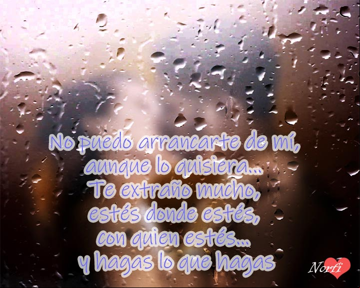 No dejo de extrañarte nunca, poema Te extraño, no dejo de extrañarte y pensarte. Poema