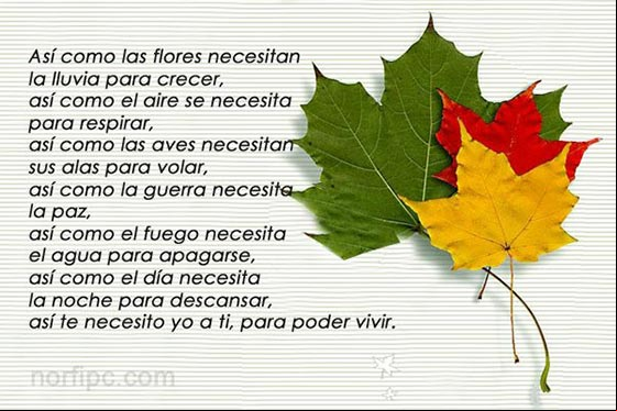 Poema de amor. Te necesito para poder vivir Poema de amor. Te necesito para poder vivir