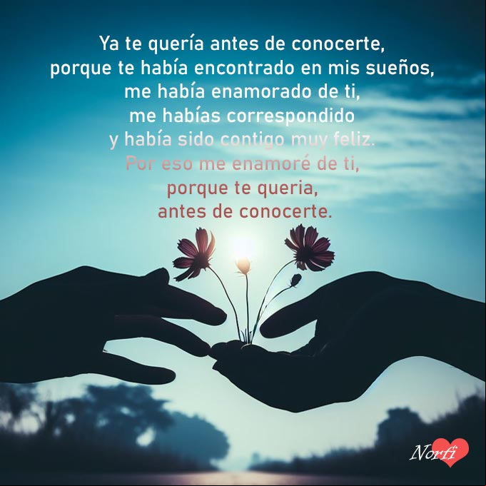 Poema me enamore de ti sin conocerte Silueta dos manos con una flor, fondo carretera cielo azul