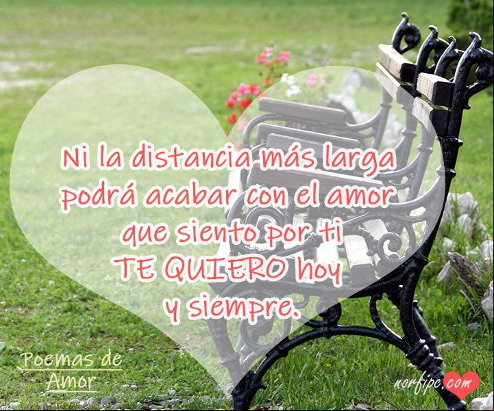 El amor que siento por ti, es para siempre. #PoemaDeAmor El amor que siento por ti, es para siempre. Poema de amor
