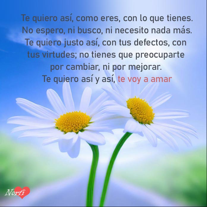 Te quiero así, como eres, con lo que tienes. No espero, ni busco, ni necesito nada más. Te quiero así y así te voy a amar Dos flores de margaritas en una carretera bajo el cielo azul