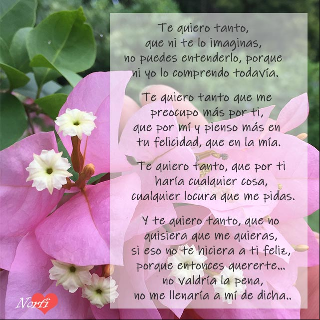 Te quiero tanto, que ni te lo imaginas Te quiero tanto, que ni te lo imaginas