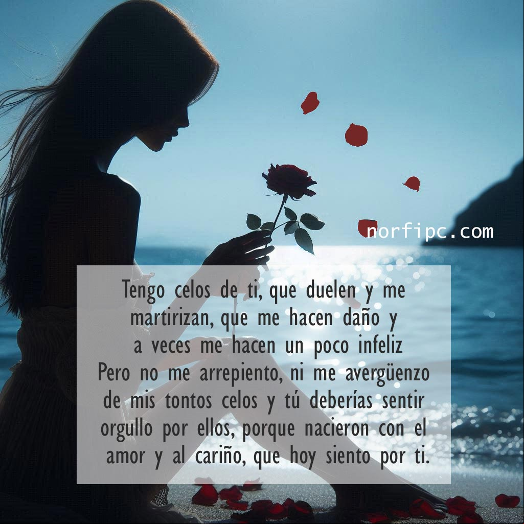 Tengo celos de ti y no me arrepiento. #PoemaDeAmor Mujer de espaldas sentada a la orilla del mar deshojando una rosa