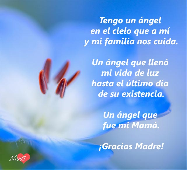 Tengo un ángel en el cielo que a mí y mi familia nos cuida, mi Mamá Tengo un ángel en el cielo que a mí y mi familia nos cuida, mi Mamá