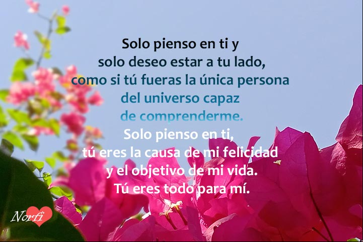 Eres todo para mí, poema Poema de amor: Solo pienso en ti, tú eres la causa de mi felicidad y el objetivo de mi vida. Tú eres todo para mí