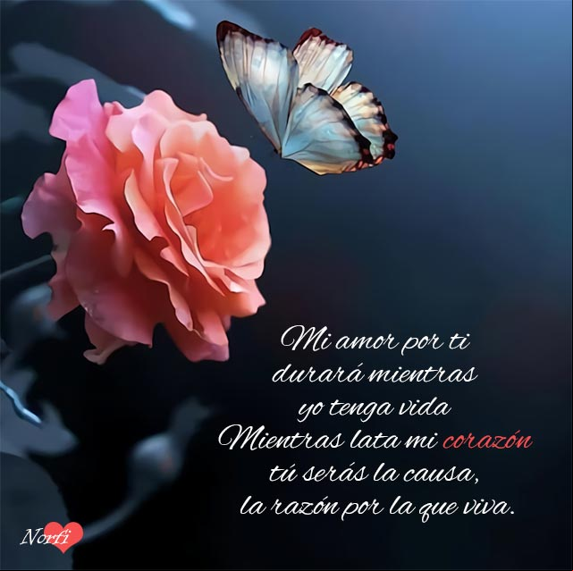 Mi amor por ti durará mientras yo tenga vida. Mientras lata mi corazón, tú serás la causa, la razón por la que viva Mi amor por ti durará mientras yo tenga vida. Mientras lata mi corazón, tú serás la causa, la razón por la que viva