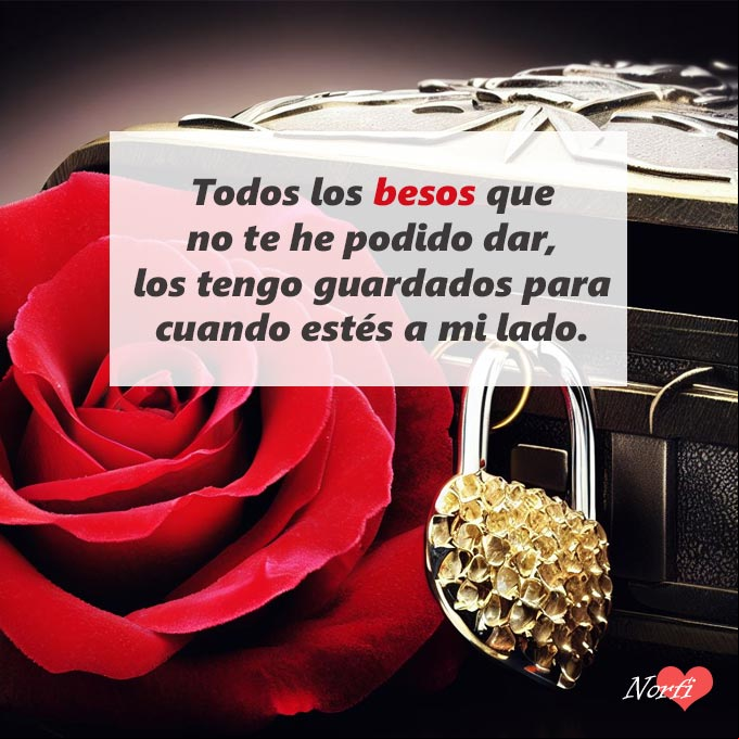 Todos los besos que no te he podido dar, los tengo guardados para cuando estés a mi lado. También miles de abrazos y caricias que son solo tuyas y esperan por ti. Cofre de joyas con rosa roja