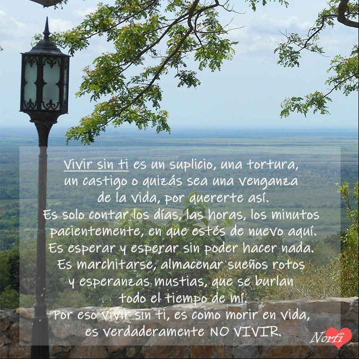 Vivir sin ti es morir en vida, es no vivir. Poema de amor para la cruel distancia Vivir sin ti es morir en vida, es no vivir