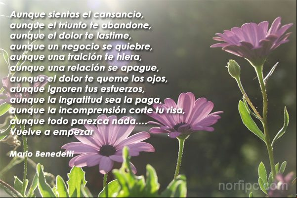 Vuelve a empezar, poema de Mario Benedetti Vuelve a empezar, poema de Mario Benedetti