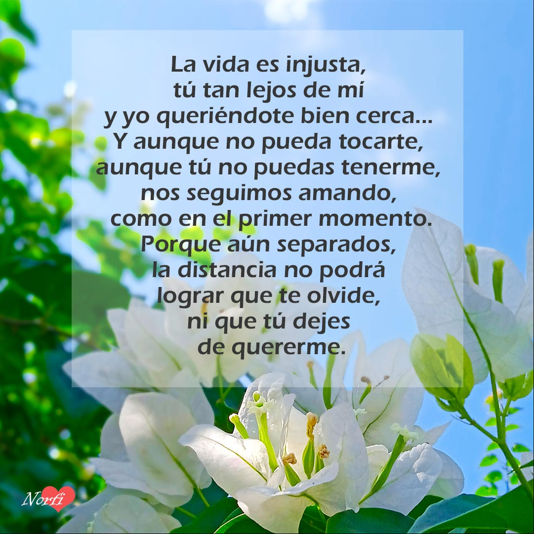 La vida es injusta, tú tan lejos de mí y yo queriéndote bien cerca Poema te extraño mucho mi amor