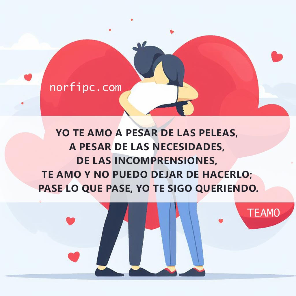 Yo te amo a pesar de las peleas, a pesar de las necesidades, de las incomprensiones, te amo y no puedo dejar de hacerlo; pase lo que pase, yo te sigo queriendo Hombre y una mujer abrazados, ilustración