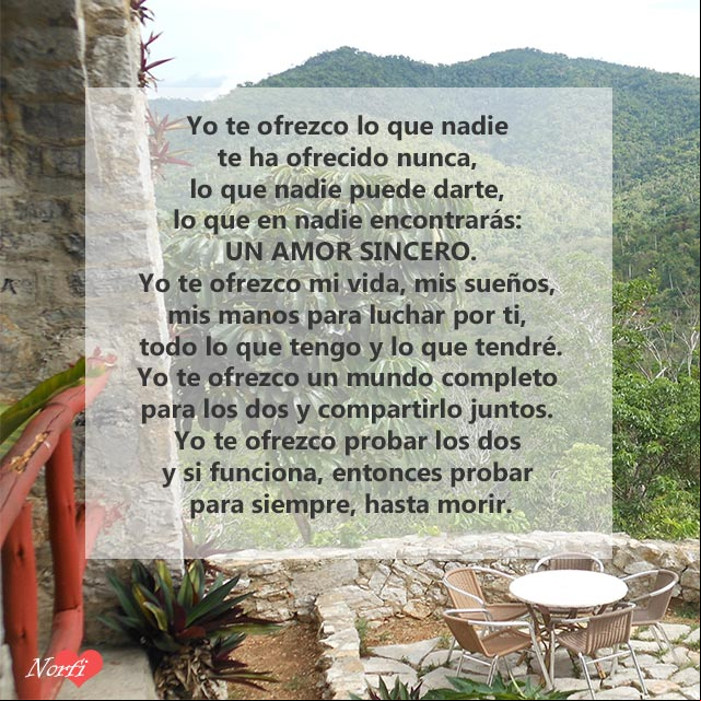 Te ofrezco mi corazon poema Yo te ofrezco lo que nadie te ha ofrecido nunca
