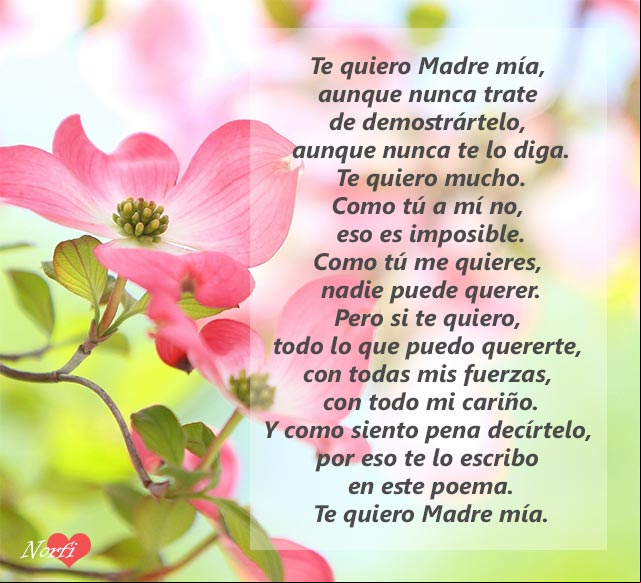 Yo te quiero mucho Madre mía, aunque nunca trate de demostrártelo, aunque nunca te lo diga Yo te quiero mucho Madre mía, aunque nunca trate de demostrártelo, aunque nunca te lo diga