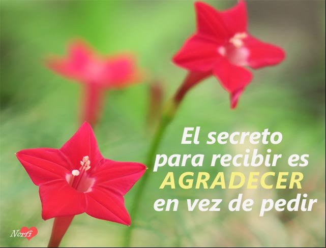 El secreto para recibir, es agradecer en vez de pedir El secreto para recibir, es agradecer en vez de pedir