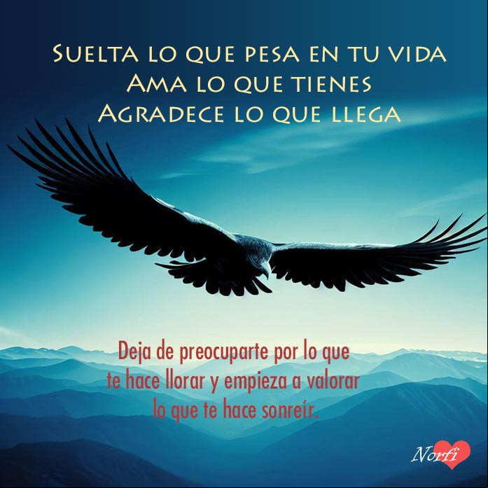 Suelta lo que pesa en tu vida, ama lo que tienes y agradece lo que llega Pensamientos y lecciones que nos dejan las penas y fracasos del amor