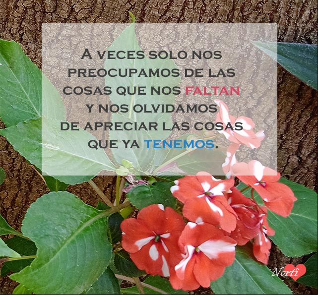 A veces solo nos preocupamos de las cosas gue nos faltan y nos olvidamos de apreciar las cosas gue ya tenemos A veces solo nos preocupamos de las cosas gue nos faltan y nos olvidamos de apreciar las cosas gue ya tenemos