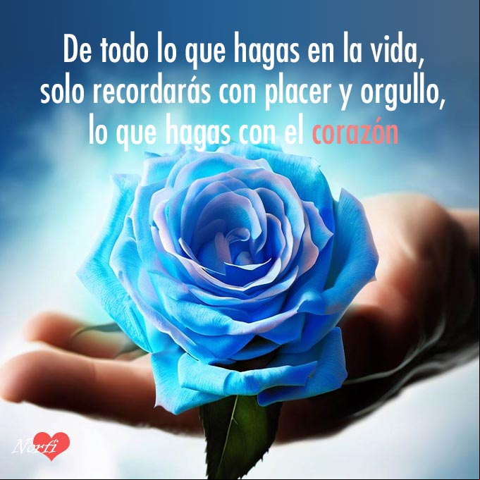 De todo lo que hagas en la vida, solo recordarás con placer y orgullo, lo que hagas con el corazón Mano entregando una rosa