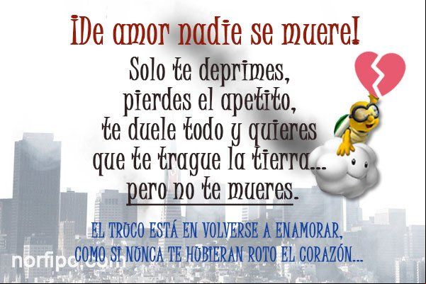 ¡De amor nadie se muere! Solo te deprimes, pierdes el apetito, te duele todo y quieres que te trague la tierra... pero no te mueres Experiencias de mis fracasos y decepciones