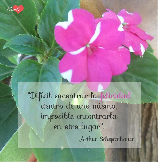Difícil encontrar la felicidad dentro de uno mismo, imposible encontrarla en otro lugar Difícil encontrar la felicidad dentro de uno mismo, imposible encontrarla en otro lugar