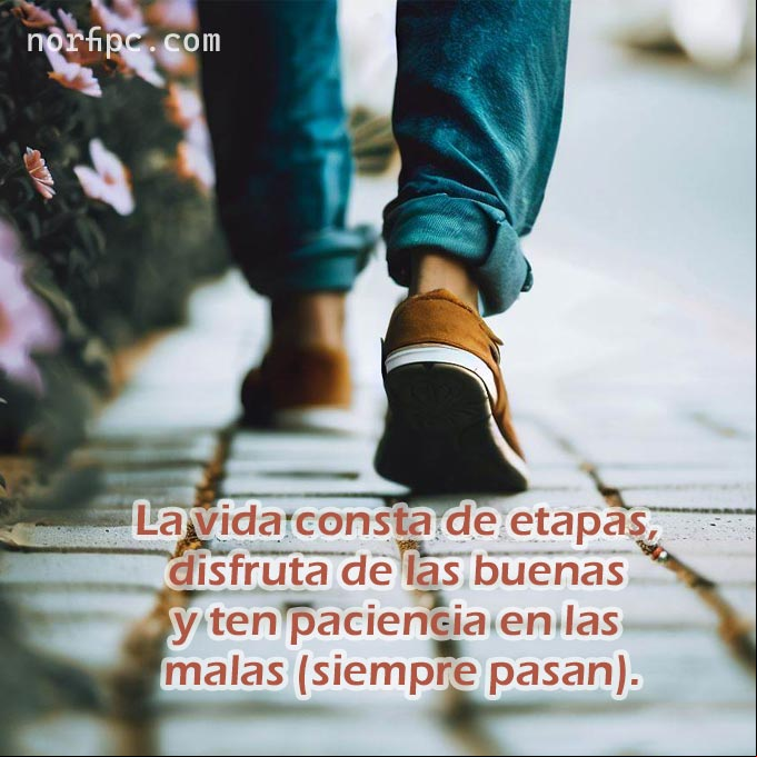 La vida consta de etapas, disfruta las buenas y ten paciencia en las malas (siempre pasan) Hombre caminando por una acera