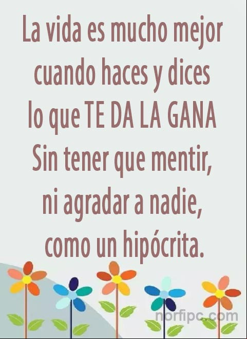 La vida es mucho mejor cuando haces y dices lo que te da la gana, sin tener que mentir, ni agradar a nadie, como un hipócrita. #Felicidad La vida es mucho mejor cuando haces y dices lo que te da la gana