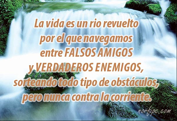 La vida es un rio revuelto, por el que navegamos entre falsos amigos y verdaderos enemigos, sorteando todo tipo de obstáculos, pero nunca contra la corriente. #Vida La vida es un rio revuelto