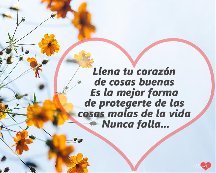 Llena tu corazón de cosas buenas, es la mejor forma de protegerte de las cosas malas de la vida, nunca falla Llena tu corazón de cosas buenas