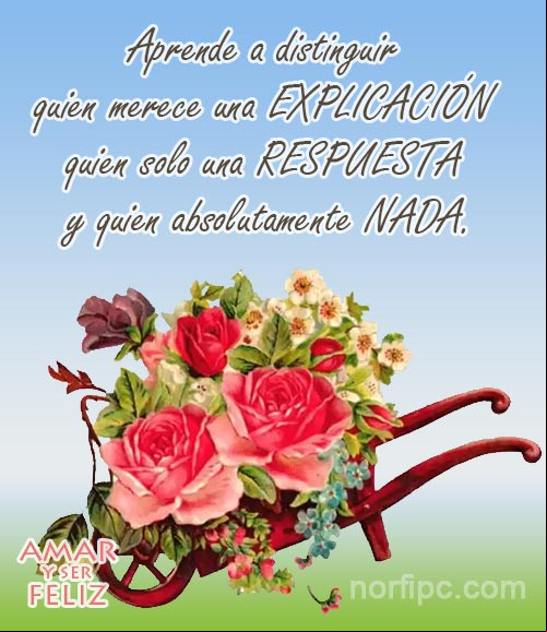 Aprende a distinguir quien merece una explicación, quien solo una respuesta y quien absolutamente nada. #Felicidad Aprende a distinguir quien merece una explicación