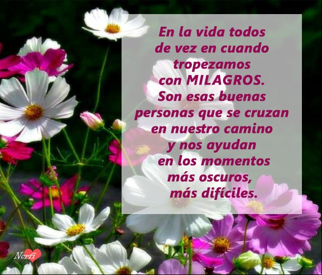 En la vida todos de vez en cuando tropezamos con milagros. Son esas buenas personas que se cruzan en nuestro camino y nos ayudan en los momentos más oscuros, más difíciles En la vida todos de vez en cuando tropezamos con milagros