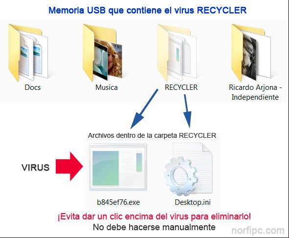 Archivos del virus Recycler en una memoria USB Archivos del virus Recycler en una memoria USB
