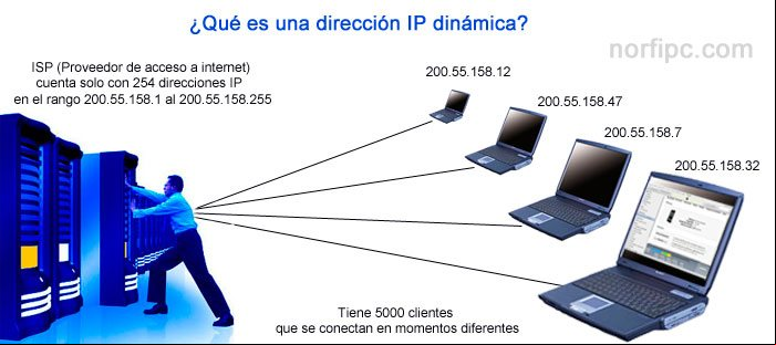Como funciona y se asigna una dirección IP dinámica
