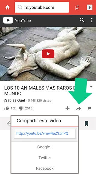 Compartir video en YouTube Compartir video en YouTube