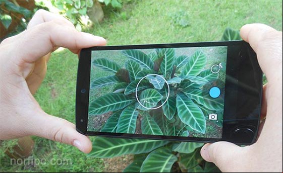 Nexus 5