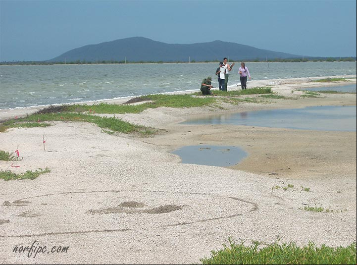 Biólogos en trabajo de campo en Cunagua Biólogos en trabajo de campo en Cunagua