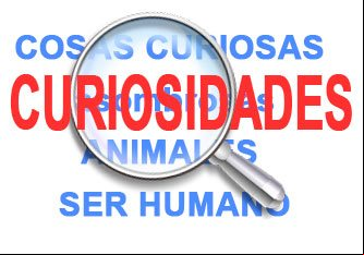 Curiosidades del ser humano y los animales