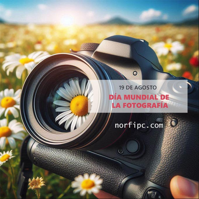 Cámara fotográfica, paisaje prado, flores, cielo azul