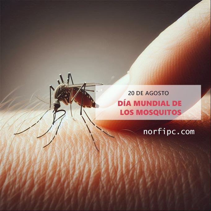 Mosquito chupando sangre de un brazo de una persona