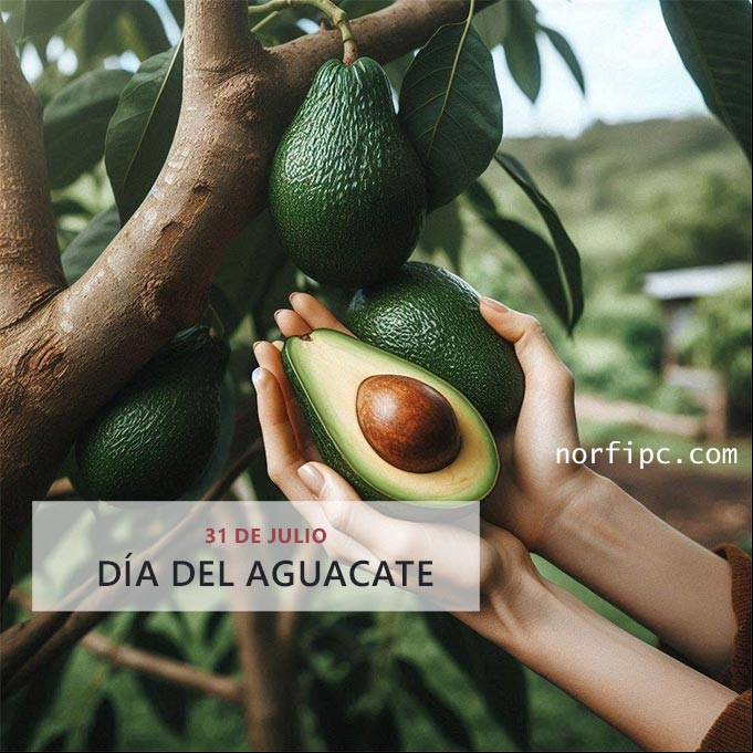 Mano sosteniendo un aguacate, detrás la planta