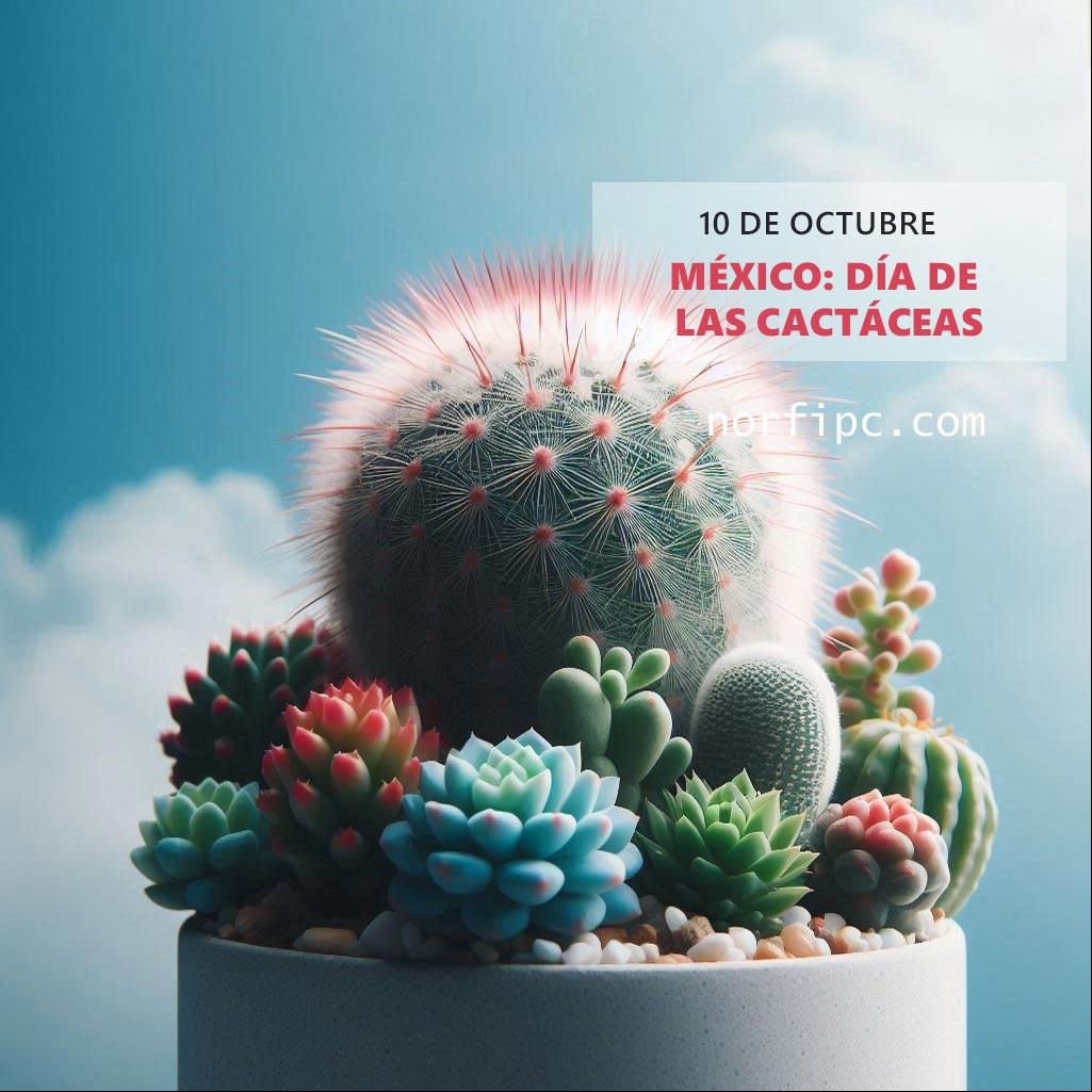 Cactos y suculentas de Mexico