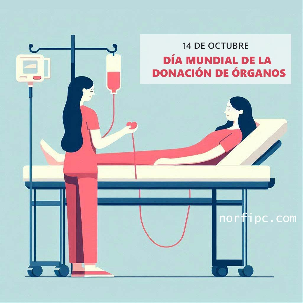 Ilustracion de una persona donando un órgano