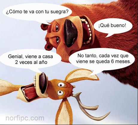 Cómo te va con tu suegra? Cómo te va con tu suegra?